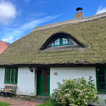 Reihenhaus In Deutschland Mit Terrasse